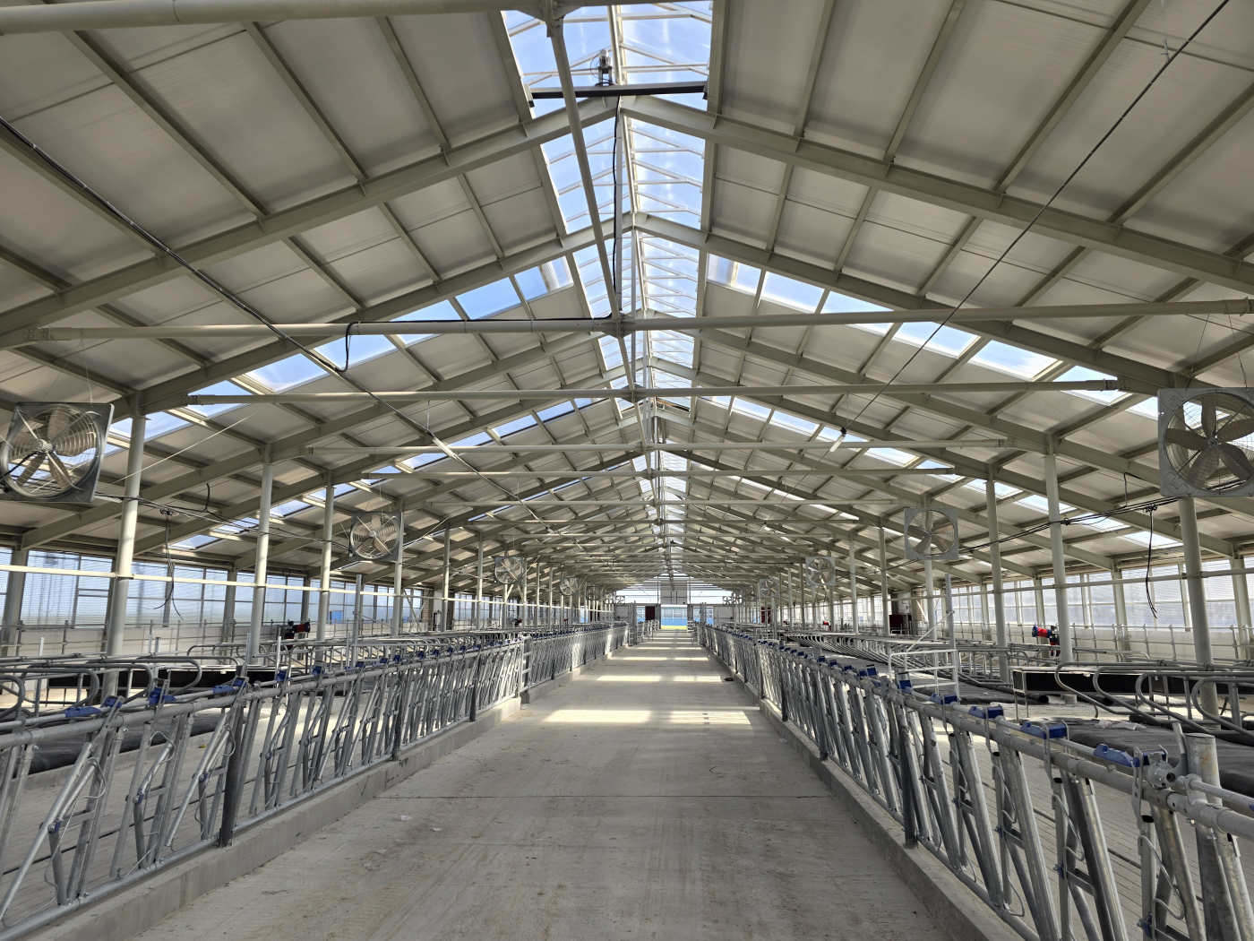 Реконструкция молочно-товарной фермы в д.Заборье